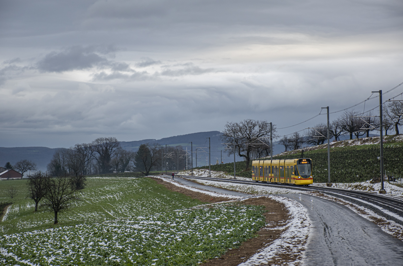 Stadler Tango #188