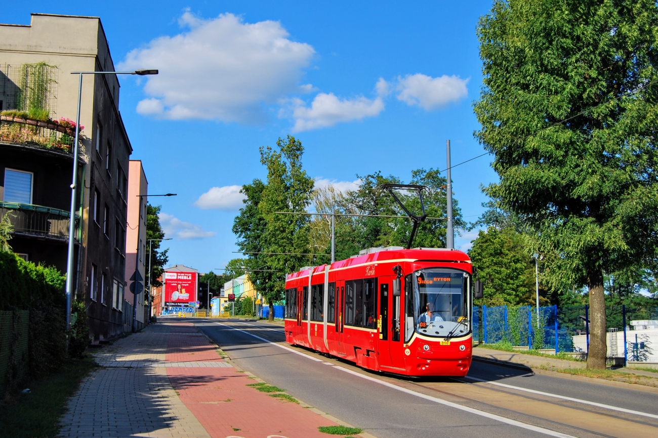 Alstom/TŚ 116Ndm #810