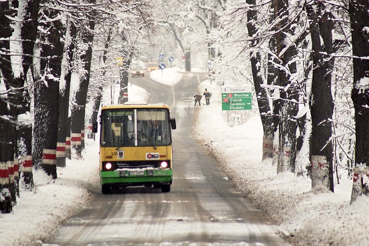 Ikarus 260.04 #135