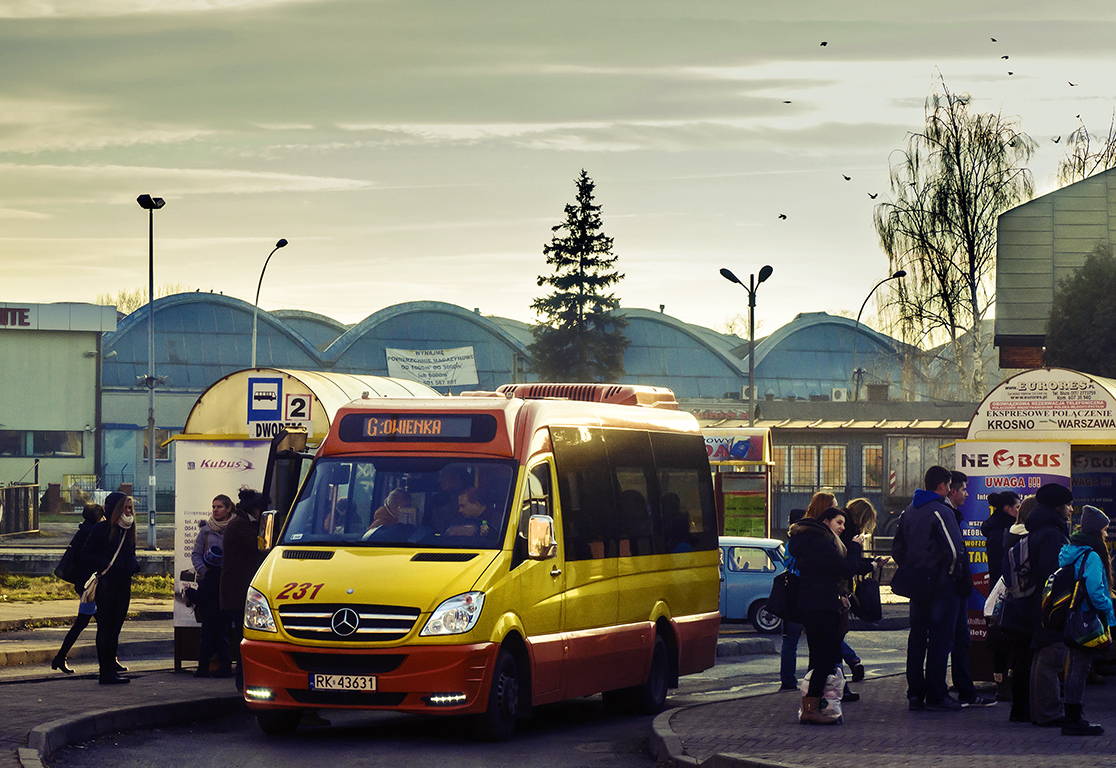 Mercedes-Benz 519 CDI / AutoCuby City Line #231