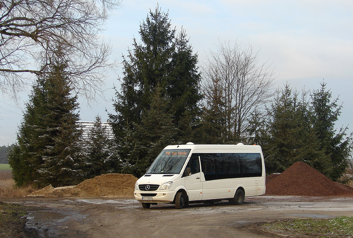 Mercedes-Benz 516 CDI Sprinter City 65 #5031