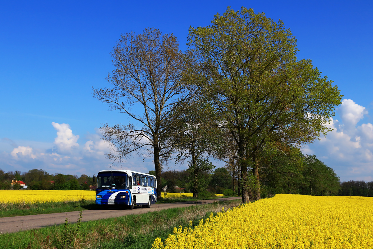 Mercedes-Benz O303-11ÜHE #50107