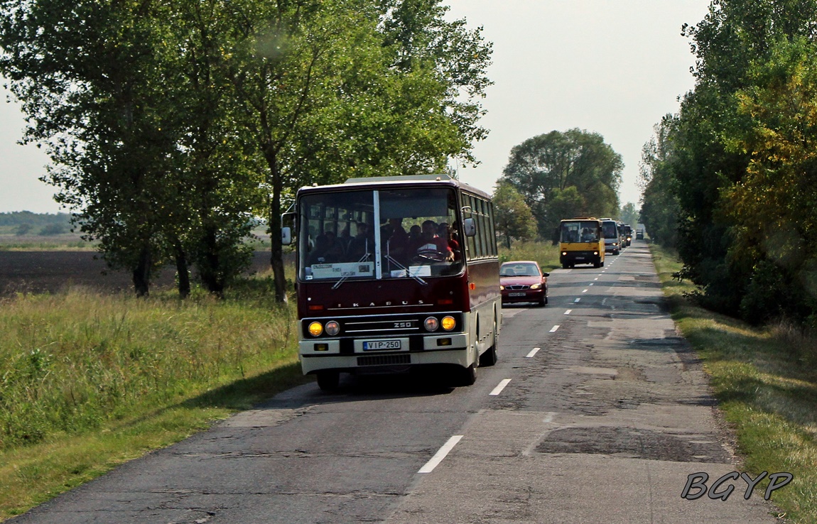 Ikarus 250 #VIP-250