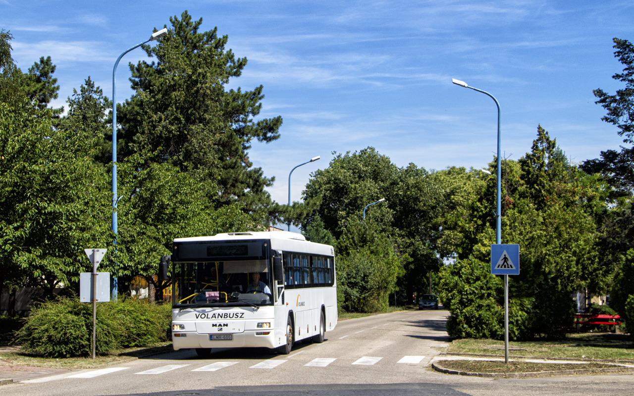 MAN SÜ313 #LMR-605