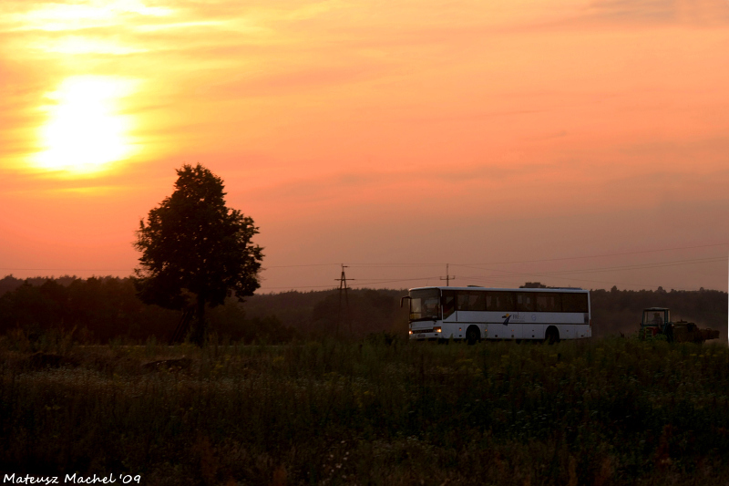 Setra S315 UL #31