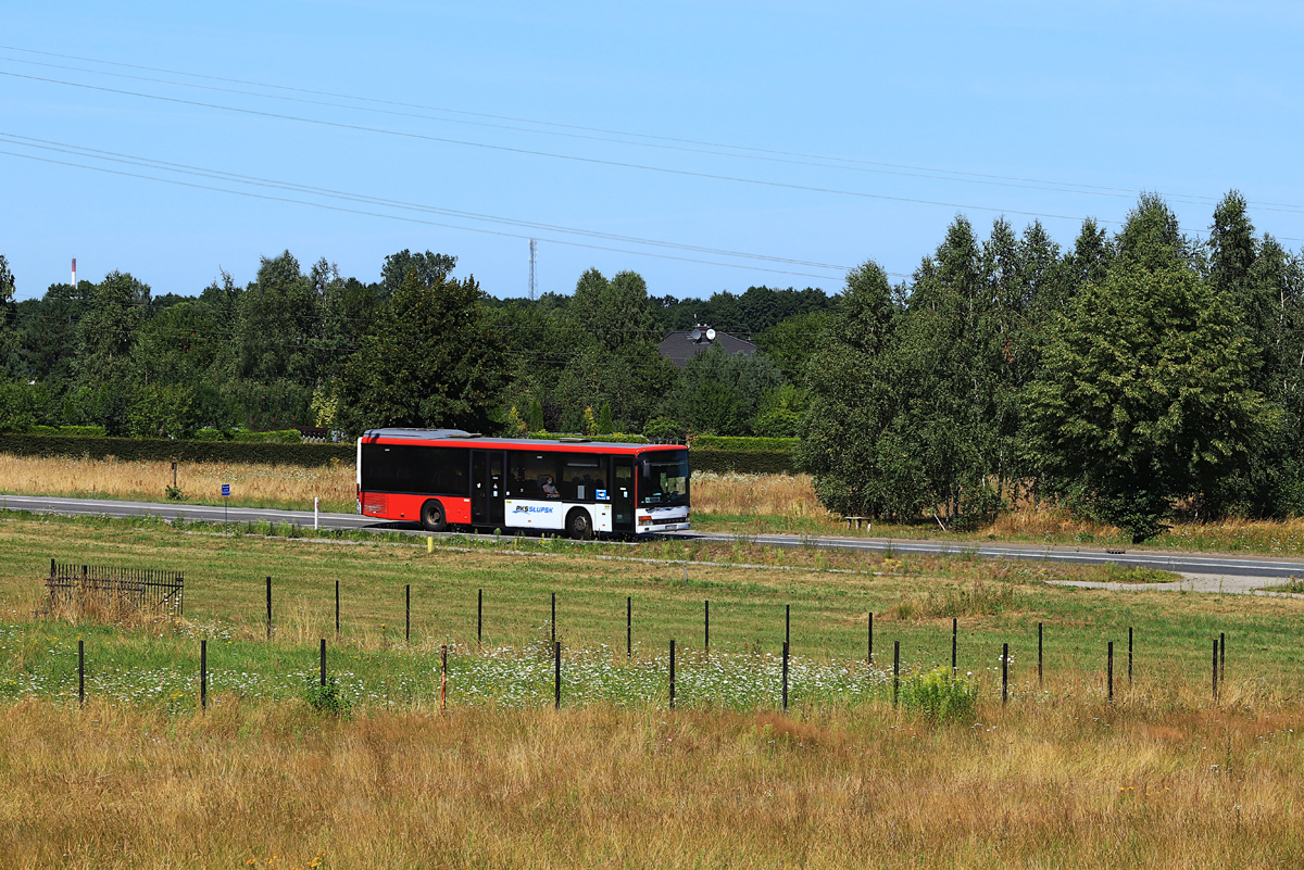 Setra S315 NF #50208