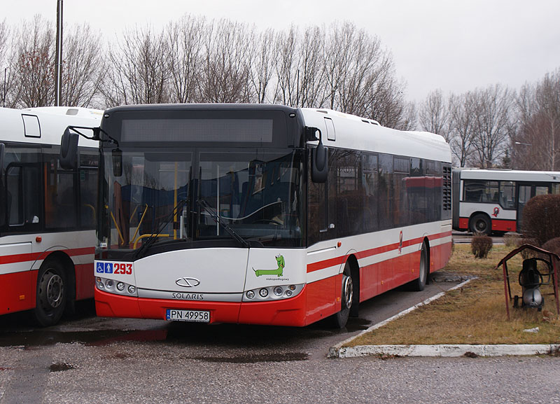 Solaris Urbino 12 #293
