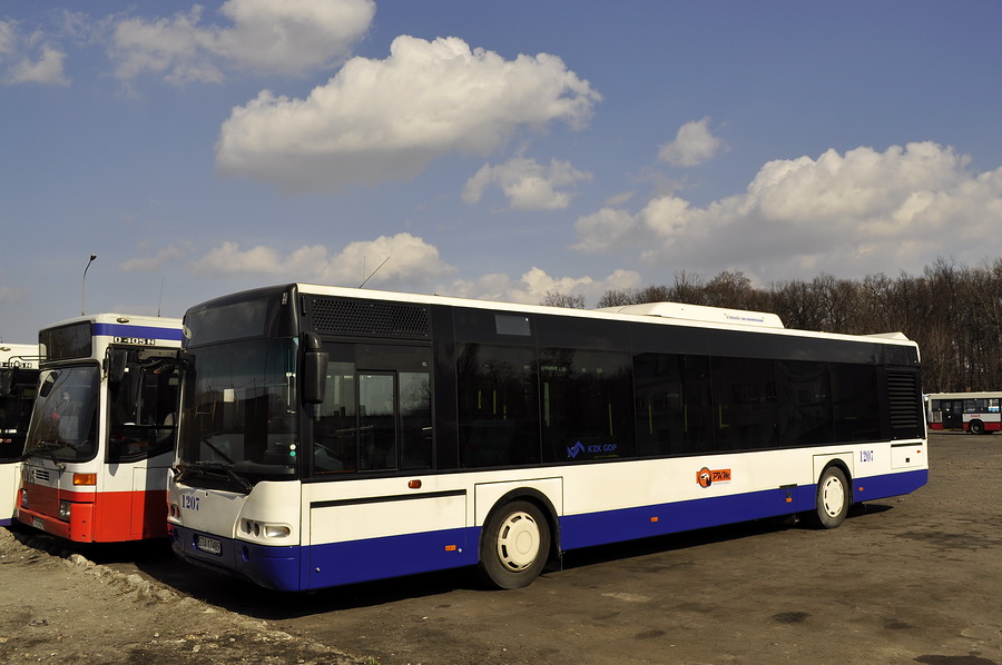 Neoplan N4416 #1207