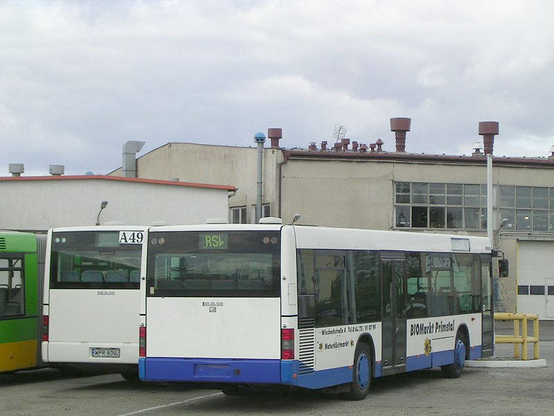 MAN NÜ313 #1069