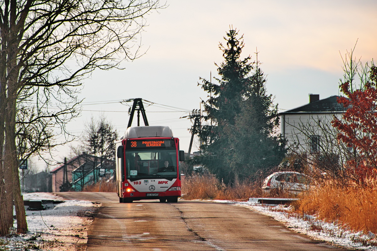 Mercedes-Benz O530 CNG #103