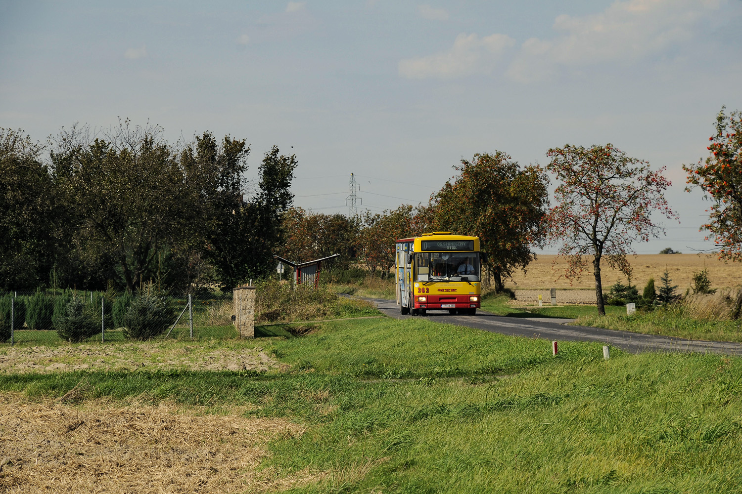 Jelcz 120M CNG #262